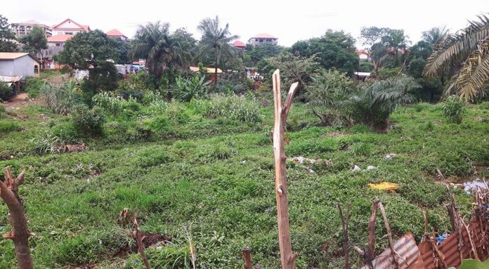 20046690_676230752582781_8385462842004815863_n