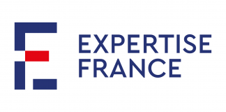 Avis dâappel dâoffres pour le Recrutement dâun cabinet national pour lâexécution des missions visant le renforcement de la gouvernance et de la gestion des ressources humaines en santé en République de Guinée