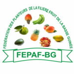 FEPAF-BG-150x150